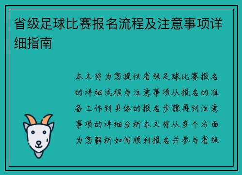 省级足球比赛报名流程及注意事项详细指南
