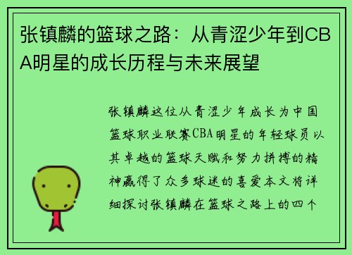 张镇麟的篮球之路：从青涩少年到CBA明星的成长历程与未来展望
